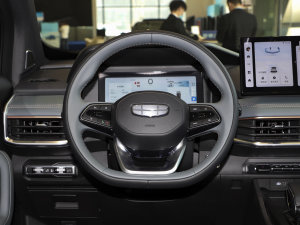 2023款2.0T DCT尊贵型 方向盘