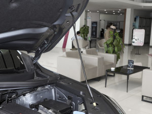 2023款2.0T DCT尊贵型 其它