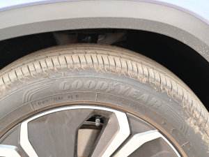 20231.5T DHT늄Ş (x)(ji)^