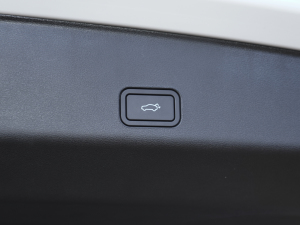 20232.0TD ߹ԄӃŞ g