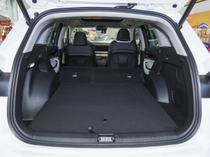 20232.0TD ߹ԄӃŞ g