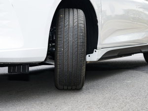 2022EV Pro W(wng)s F (x)(ji)^