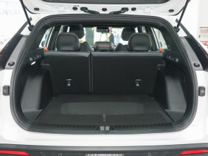 2023ԽCOOL 1.5TD ǻ g