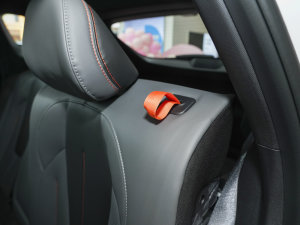 2023ԽCOOL 1.5TD ǻ g