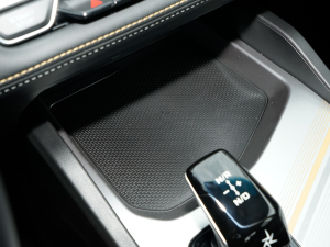 2024܊ 1.5TD-DHT Pro 100KM Խ g