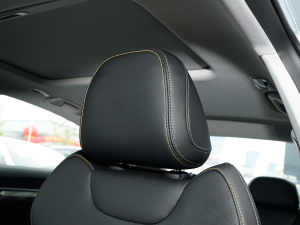 2024܊ 1.5TD-DHT Pro 100KM Խ g