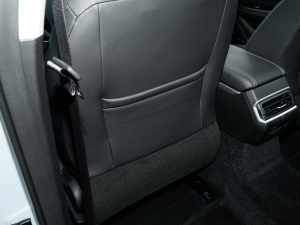 2024܊ 1.5TD-DHT Pro 100KM Խ g