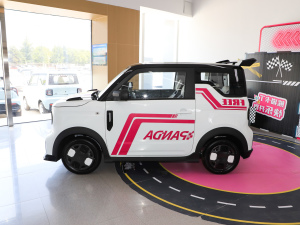 2025款210km 熊猫卡丁 整体外观