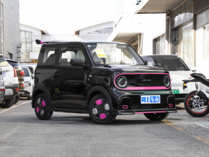 2025款210km 熊猫卡丁 整体外观
