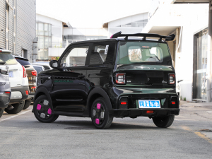 2025款210km 熊猫卡丁 整体外观