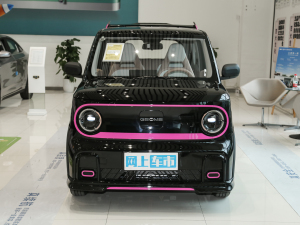 2025款210km 熊猫卡丁 整体外观