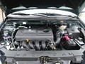 2010��Զ������