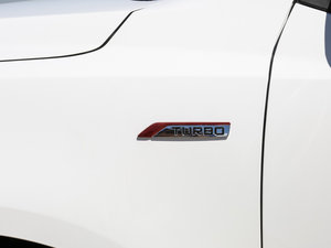 20161.3T CVTŞ (ji)^