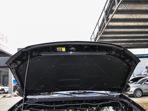 2017��2.8T ���(q��)���L��ֵ��(��(n��i)�) ���� ��V ����