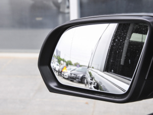 2021V 260 L LSF (x)(ji)^