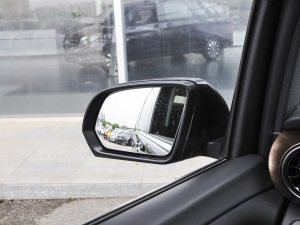 2021V 260 L LSF (x)(ji)^