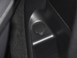 2021V 260 L LSF п؅^(q)