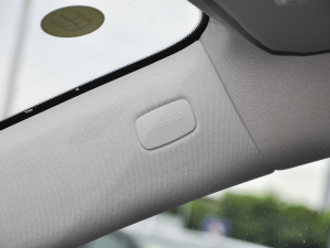 2021V 260 L LSF п؅^