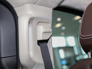 2021V 260 L L(zhng)SA g