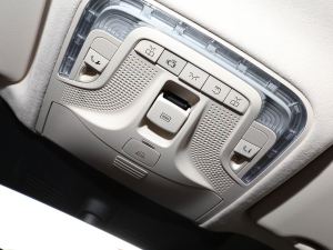 2021V 260 L LSA п؅^