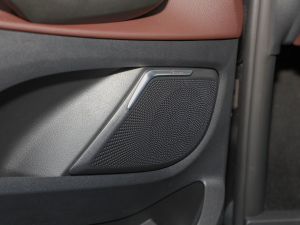 2021V 260 L LSA п؅^(q)