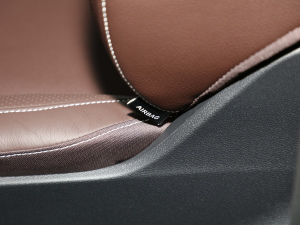 2021V 260 L LSA п؅^(q)