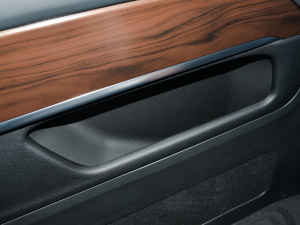 2021V 260 I(lng) T(ch)g