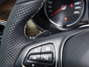 2022V 260 L LSA п؅^(q)