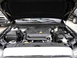 2021款乘用版 2.5T 超豪华型两驱标双 柴油 其它