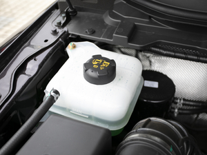 2021款乘用版 2.5T 超豪华型两驱标双 柴油 其它