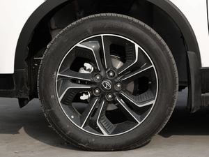 2019_ 1.5T CVTŞ (x)(ji)^