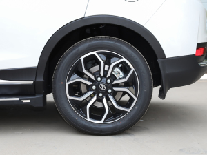 20211.5T CVTF (x)(ji)^