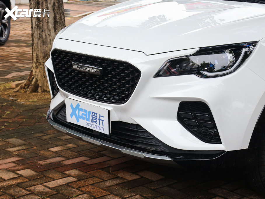 2022|DX8S 1.5T DCTL(zhng) 7