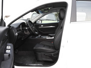 20221.5T DCTh 5 ǰſg