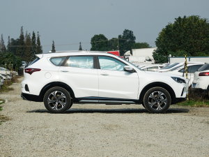 20221.5T DCTh 7 ȣң