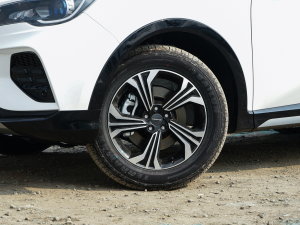 20221.5T DCTh 7 ݆Ȧ