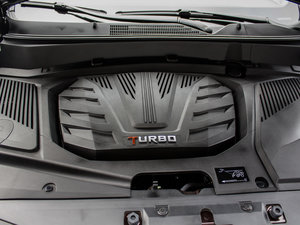 2015款1.5T 手动凯旋版 其它