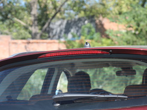 20171.5T ք(dng)P (x)(ji)^(gun)