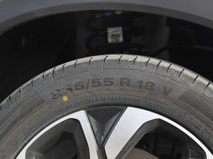 2019235T Ԅ(dng)A ݆̥ߴ