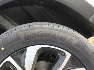 2019270T ԄӺA ݆̥Ʒ