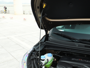 2019270T Ԅ(dng)F 7 V 