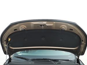 2019270T Ԅ(dng)F 7 V 