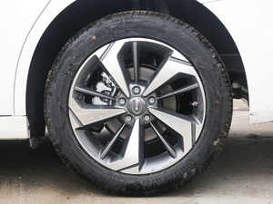 2019270T Ԅ(dng) ݆Ȧ