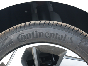 2019270T Ԅ(dng)F ݆̥Ʒ