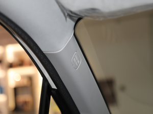 2019270T ԄӃA VI g