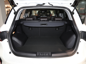 2019270T ԄӃA VI g