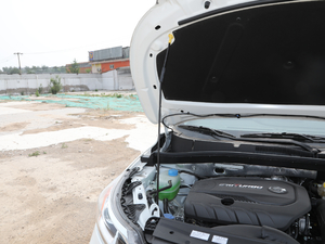 2019270T ԄӃ򌾫Ӣ VI 