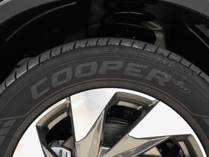 2020270T ԄӾӢƼ ݆̥Ʒ