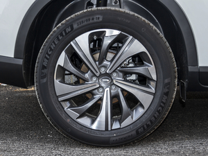 2020270T Ԅ(dng) ݆Ȧ