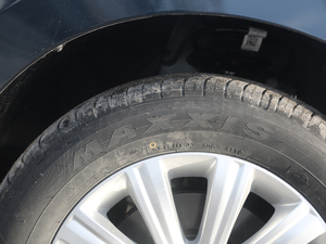 2020I(lng) 390T  ݆̥Ʒ